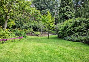 Optimiser l'expérience du jardin à Sainte-Colombe-sur-l'Hers